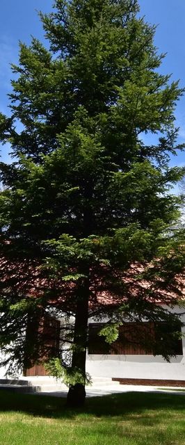 MUCK Turistaház Sopron