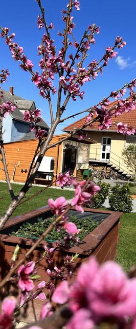 Négy Évszak Vendégház Nyúl