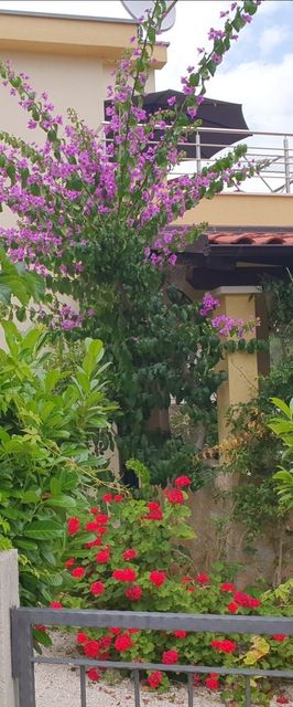 Apartman Sara Uvala Osibova Milna