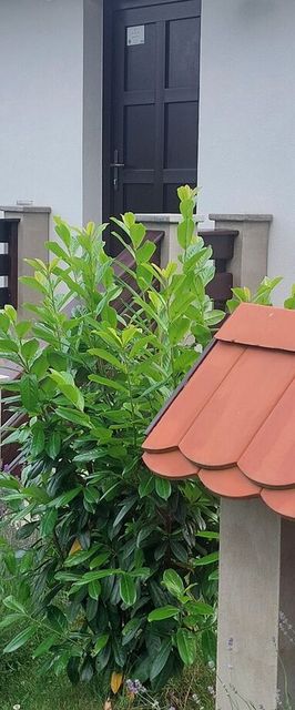 Mónika Vendégház Kőszeg