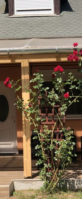 Termál Apartman Lenti