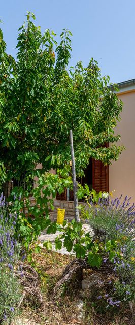 Vendégház Pridraga - CDI486