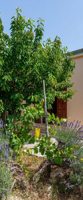 Vendégház Pridraga - CDI486