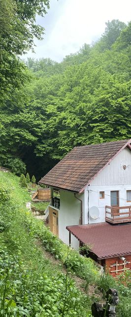 Casuta Din Padure Toplita Hunedoara