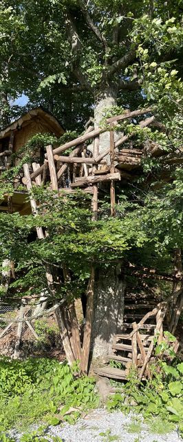 Casa pe copaci cu nouă roți Calonda