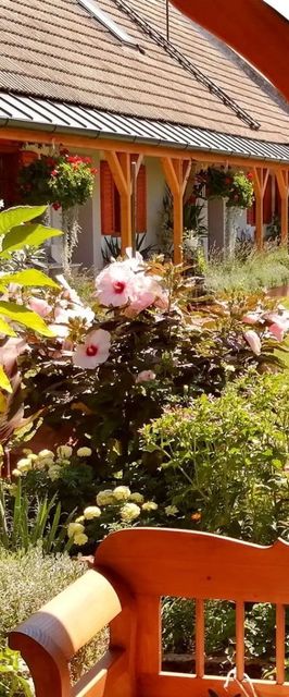 Kabóca Vendégház Kővágóörs