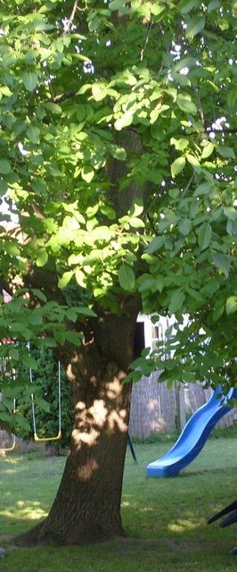 Á&G Vendégház Balatonkeresztúr