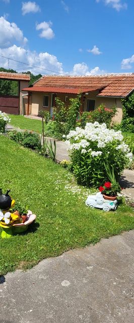 Pensiunea Izvorul Rece Hobița