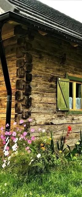 Domki z bali Ciche Marzenie Manasterzec