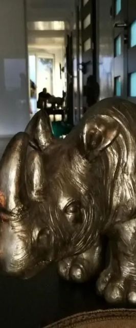 EGZOTYCZNE Meeru w Krainie Alicji