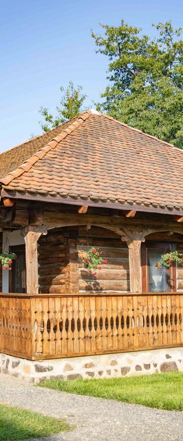 Due Fratelli Village Resort Șinteu