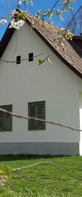 Vikli Vendégház Závod