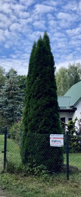 Kaszubski domek Perlino