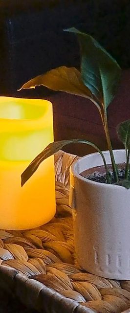 Cabana Larisa Sat Bătrân