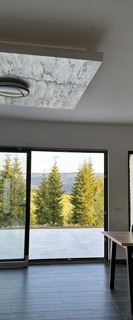 Cabana The One Beliș