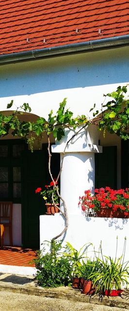 Zöld Kapu Vendégház Kőszegdoroszló