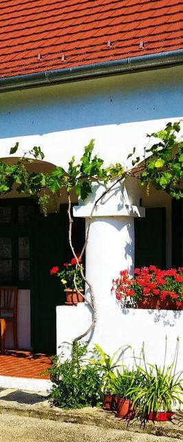 Zöld Kapu Vendégház Kőszegdoroszló