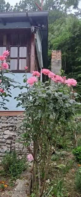 Cabana Elyana Mraconia Eșelnița