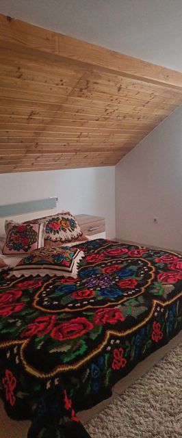 Casa Bizau Vișeu de Sus