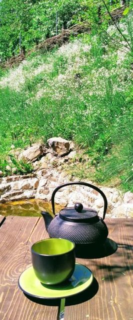 Baza biwakowa "Warownia"