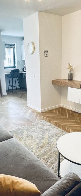 Bel Dom - The Central Executive Apartment Cluj-Napoca