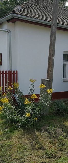 Margó Vendégház Tiszaug