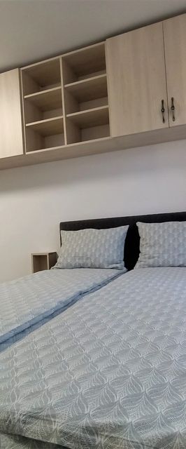 Studio Carpati Satu Mare