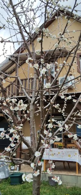 Holt-Tisza Vendégház Szeged