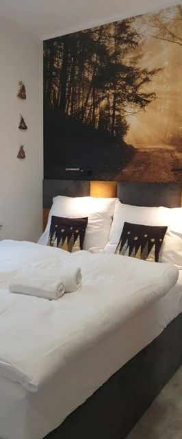 Apartament Zaczarowany Las - 5D Apartamenty Świeradów-Zdrój