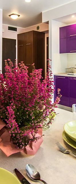 Apartament Wrzosowy - 5D Apartamenty Świeradów-Zdrój