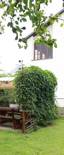 Pokój Magnolia Krościenko nad Dunajcem