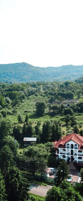 Pensiunea Casa cu Elefanți Corbșori