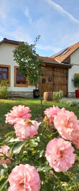 Tölgyfaodú Vendégház Bakonykúti