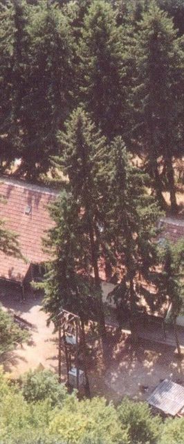 Toboz Kulcsosház Nagybörzsöny