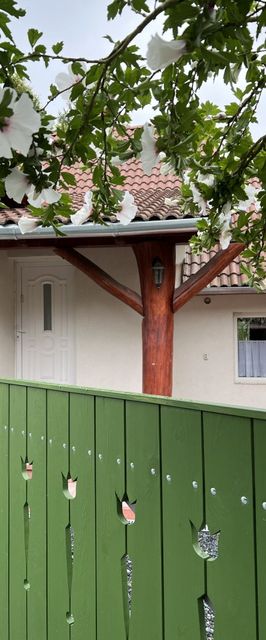 Fagyöngy Malomgát Ház Őrimagyarósd