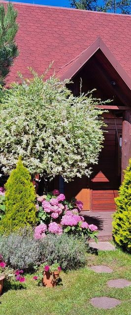 Domki Cyprys Ostrowo Kolonia