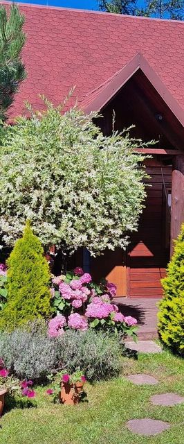 Domki Cyprys Ostrowo Kolonie