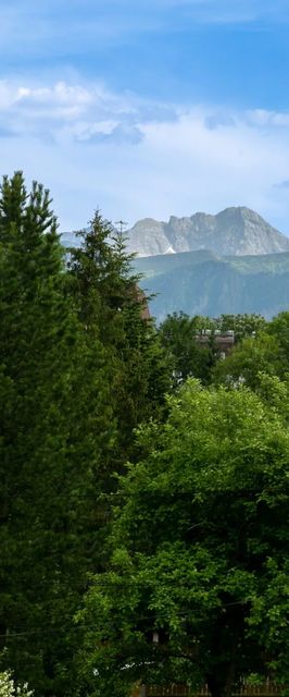 Apartament -Górskie Szczyty Apart & SPA Zakopane