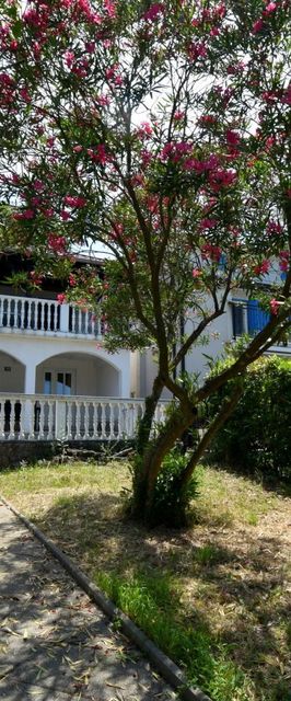 Apartman Pesja Omišalj Krk