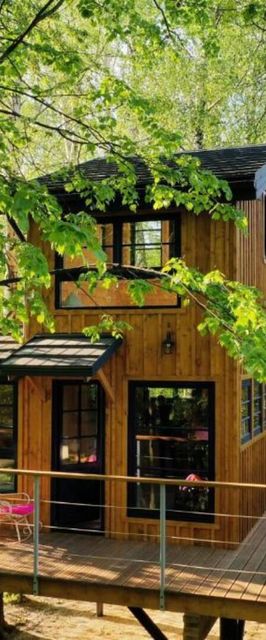  Domek na drzewie Węgiełek Treehouse Kazimierz Dolny