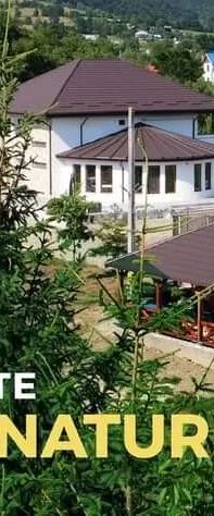 Casa Dintre Brazi Nemțișor