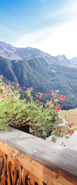 Vendégház Sankt Sigmund - ATA327