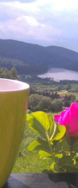 Domki na Żukowcu Bóbrka