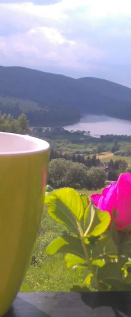 Domki na Żukowcu Bóbrka