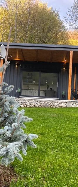 Tiny House by the Forest 1 Borod