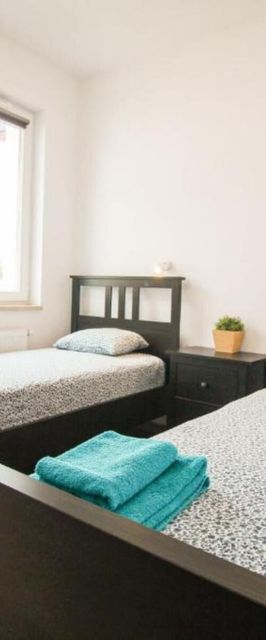 Apartament Lublin Stare Miasto „Wild Cat II”