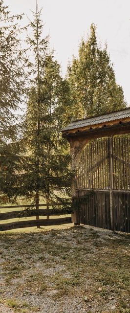 Cabana Turul Izvoare