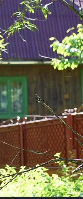 Căsuța din Vale Râșca