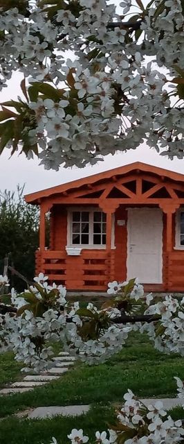 Rindor Vendégház Mohács