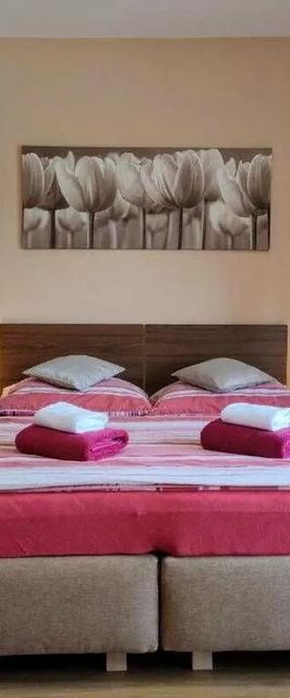 Bohemica Apartments Děčín